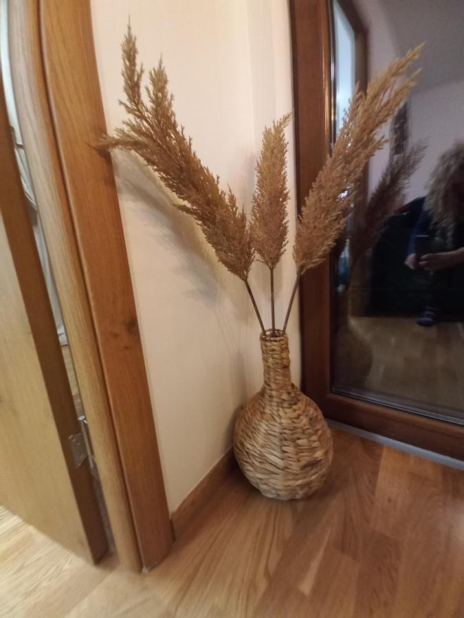 Zlatibor Apartman Luxury & Spa Dijana 외부 사진