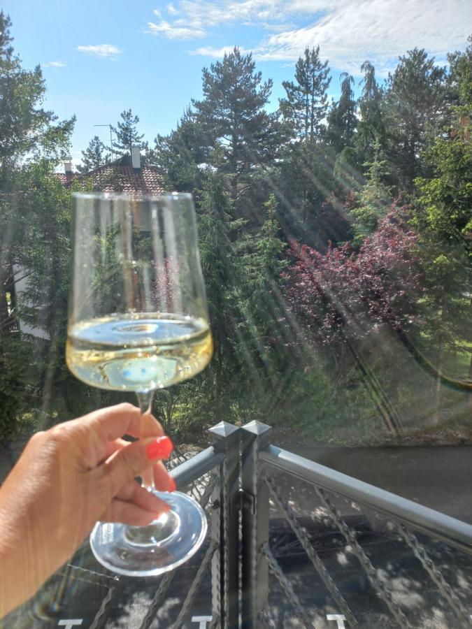 Zlatibor Apartman Luxury & Spa Dijana 외부 사진