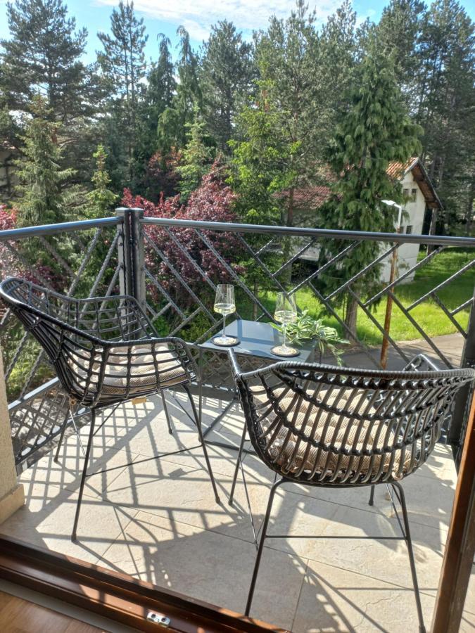 Zlatibor Apartman Luxury & Spa Dijana 외부 사진